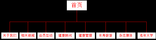 老年網(wǎng)站建設框架及欄目規(guī)劃